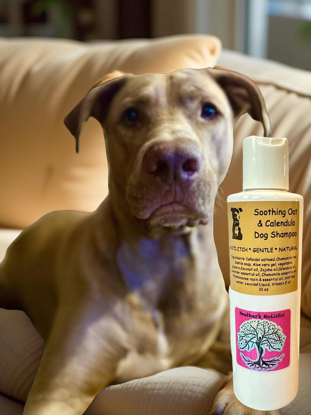 Critter Concepts Dog Shampoo For Itchy Skin Homemade Best Dog
