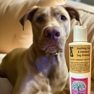 Shampoo Calmante de Aveia e Calêndula para Cães – 280 ml Heather&#39;s Holistic! Anti-coceira • Suave • Natural