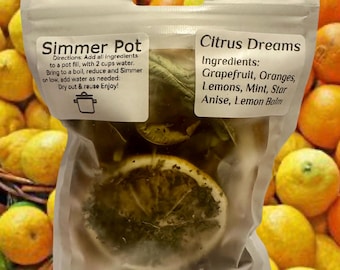 Simmer Pot Kit, Citrus Dreams  - Mint & Citrus Scent