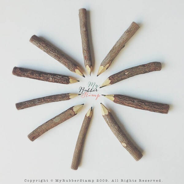 Rustic Twig Pencils (3 1/2") 10 Twig Pencils Bundle