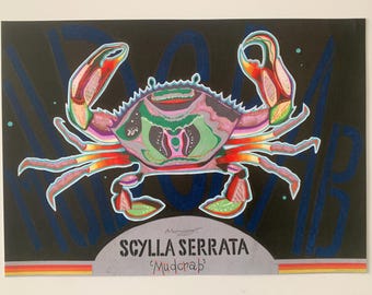 A3 Mudcrab inspired illustration print