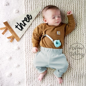 Drapeau de fanion de jalons mensuels pour bébé, accessoire photo pour nouveau-né, cadeau de shower de bébé, cadeau neutre, drapeau mensuel de bébé pour la croissance, cadeau pour nouveau-né