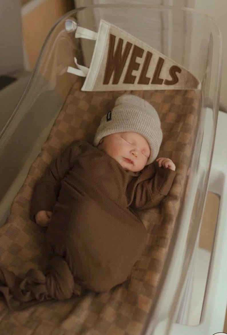 Peut inclure: Un nouveau-n&eacute; endormi, v&ecirc;tu d'une tenue marron et d'un bonnet gris, dans un berceau transparent. Une banni&egrave;re avec le nom "WELLS" est visible au-dessus du b&eacute;b&eacute;. Le berceau est tapiss&eacute; d'une couverture marron &agrave; carreaux.