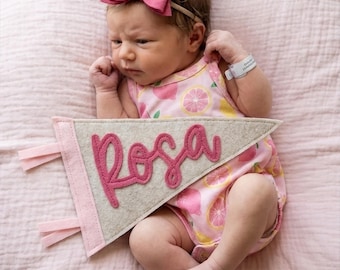 Personalized Felt Name Pennant: Baby Announcement, Nursery Decor