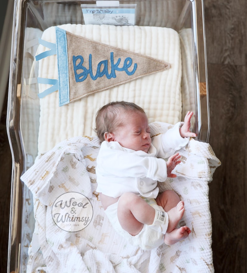 May include: A newborn baby lies in a hospital bassinet, wearing a white onesie and diaper. A felt pennant with the name "Blake" in blue script hangs above the baby. The bassinet is lined with a soft, white blanket and a patterned swaddle.