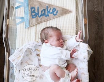 Custom Name Pennant, Baby Name announcement, Gender neutral Gift, Nursery, new baby, gender reveal, shower gift, baby gift