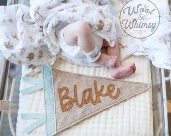 Custom Name Pennant, Baby Name sign, Gender neutral Gift, Nursery, new baby, gender reveal, shower gift, Newborn name announcement