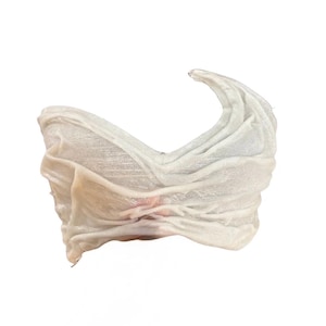 WET-Look Crème Crop Top – Sculpted Resin-Inspired Glossy Finish, Club & Streetwear