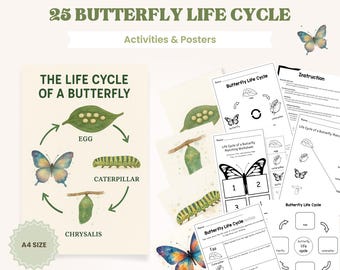 Butterfly Life Cycle Activities & Posters | Homeschool Printable (PDF)