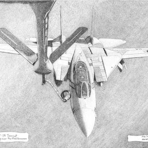 F-14 Tomcat
