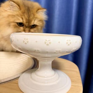 No Tip Dog Water Bowl - Etsy