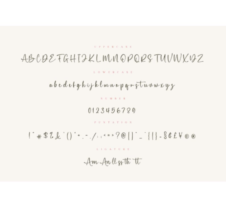 Mark Script Font Amelia Font, Script Font, Handwritten Font, Wedding Font, Romantic Font ...