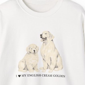 English Cream Golden Sweatshirt - Cozy Dog Lover Crewneck, Perfect Gift for Pet Owners, Ideal for Birthdays, Holidays & Dog Walks