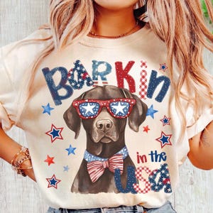 4 juli patriottische chocolade Lab clipart png-ontwerp, schattige Fourth of July hond png, labrador Amerikaans T-shirt design dtf digitale download