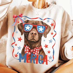 4 juli patriottische chocolade Lab clipart png-ontwerp, schattige Fourth of July hond png, labrador Amerikaans T-shirt design dtf digitale download
