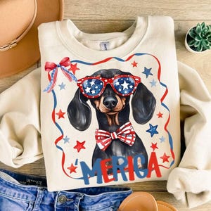Lustiger 4. Juli 4. Juli 2013 stolzer roter Dachshund, netter vierziger Juli Hund Png, Weiner Hund amerikanisches T-Shirt Dtf digitaler Download