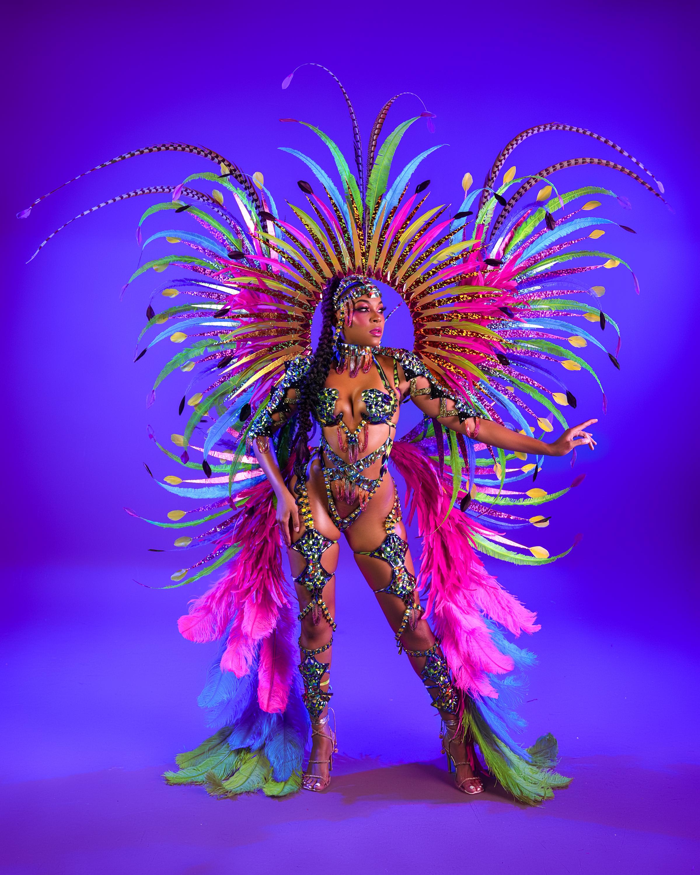 FEATHERED BACKACK for Illuminara colorful pink  Miami Trinidad Carnival Costume Monday Wear