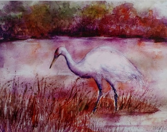 Whooping Crane Greeting Card, Crane Card, Bird Lover Card,  Bird Card, Endangered Bird Card