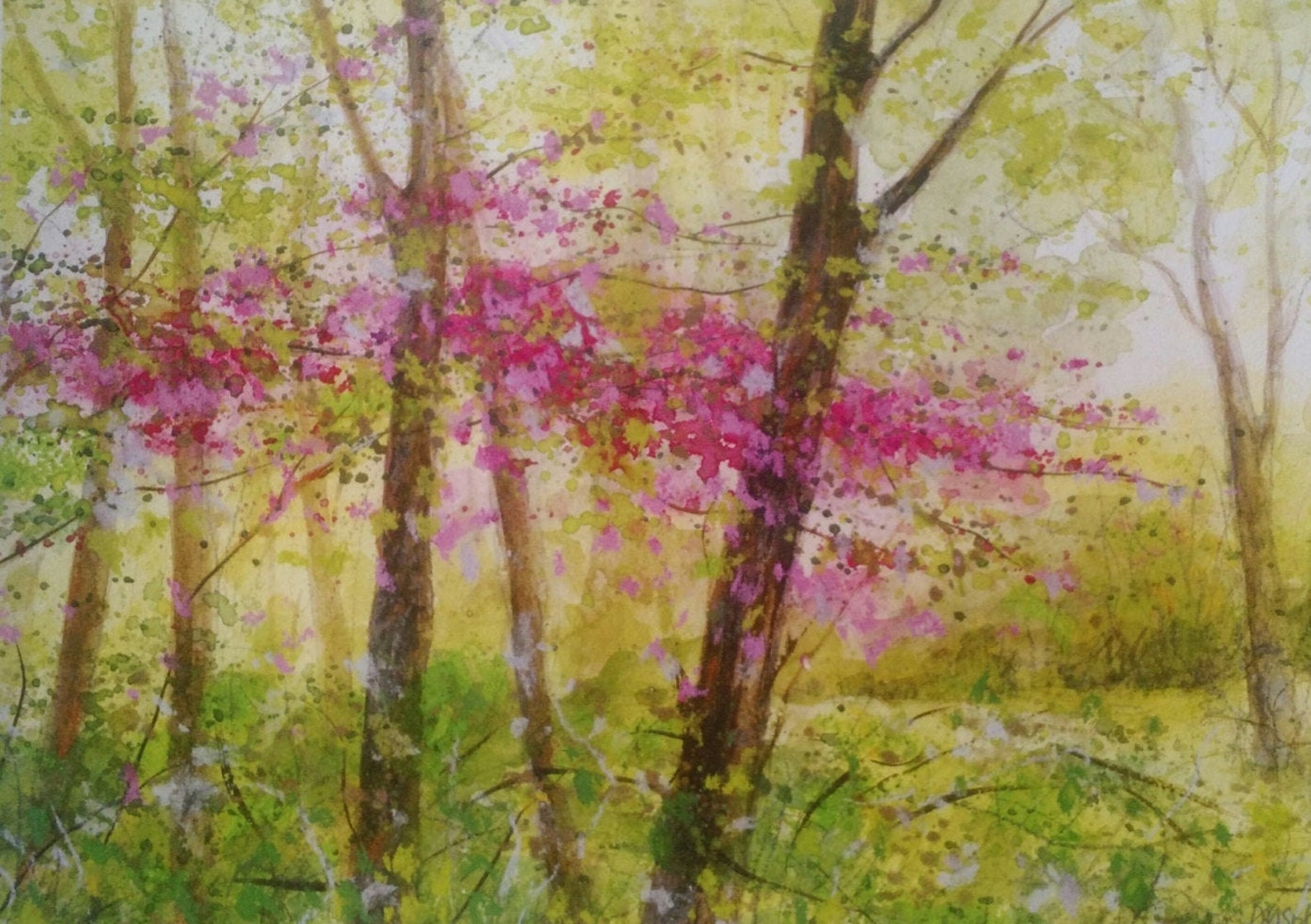 Spring Redbud Print Spring Print Pink Trees Print Redbud - Etsy