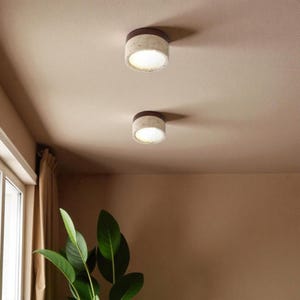 May include: Two modern ceiling lights with a cylindrical design. The lights have a speckled, light-colored body and a dark brown top. The lights are illuminated, casting a warm glow. The lights are mounted on a neutral-colored ceiling.