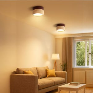 May include: Two modern ceiling lights with a cylindrical design. The lights have a dark red top and a speckled, off-white base. The lights are mounted on a light-colored ceiling in a living room setting. The room features a sofa, lamp, and window.