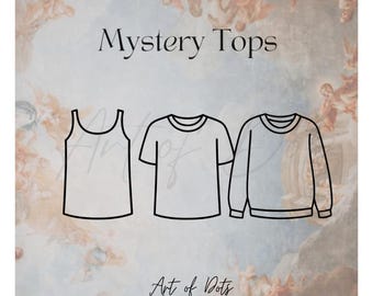 Mystery Top, Embroidered Overstock, Random T-Shirt, Tank, or Sweatshirt