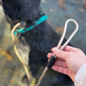 Pode incluir: Uma trela para c&atilde;o em corda bege com uma pega em la&ccedil;o e uma manga de liga&ccedil;&atilde;o preta. A trela est&aacute; presa a uma coleira turquesa brilhante usada por um c&atilde;o de pelo escuro. O design consiste num &uacute;nico cord&atilde;o cont&iacute;nuo que forma a pega e a trela.