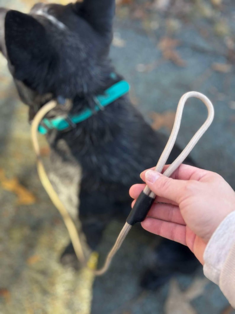 Pode incluir: Uma trela para c&atilde;o em corda bege com uma pega em la&ccedil;o e uma manga de liga&ccedil;&atilde;o preta. A trela est&aacute; presa a uma coleira turquesa brilhante usada por um c&atilde;o de pelo escuro. O design consiste num &uacute;nico cord&atilde;o cont&iacute;nuo que forma a pega e a trela.