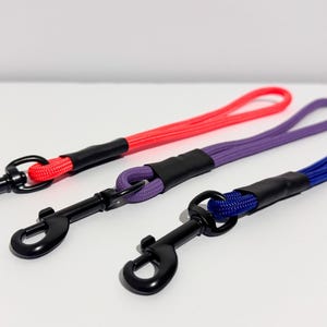 Peut inclure: Trois laisses courtes en corde tress&eacute;e de couleur rouge vif, violette et bleue. Chaque laisse comporte un mousqueton pivotant en m&eacute;tal noir &agrave; une extr&eacute;mit&eacute; et une poign&eacute;e en boucle &agrave; l'autre, fix&eacute;e par un manchon thermor&eacute;tractable noir.
