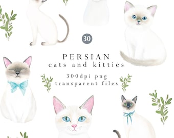 May include: Watercolor illustrations of Persian cats and kittens in various poses. The cats have white fur with gray markings, blue eyes, and some wear blue bows. Green leafy sprigs are scattered around the cats. Text reads "PERSIAN cats and kitties" and "300dpi png transparent files."