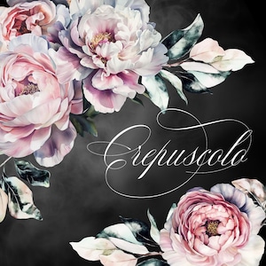 Dark Floral Clipart: Moody Peony PNG Bouquets (Digital Download)