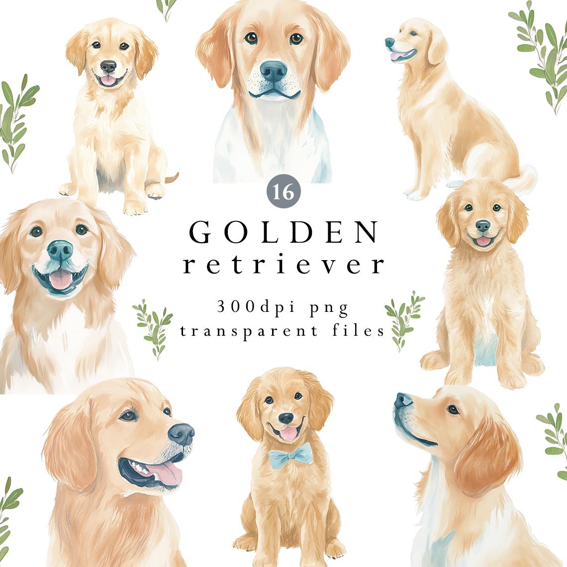 水彩画のゴールデンレトリバーの肖像画：犬のアートPNGセット（デジタルダウンロード） - Etsy 日本, image size:1140x1140