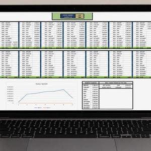 May include: A laptop screen displaying a digital financial spreadsheet with multiple columns of monthly data, a yearly report line graph, and a summary table showing monthly averages and best or worst months of the year in a structured format.