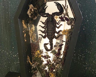 9" Coffin with scorpion