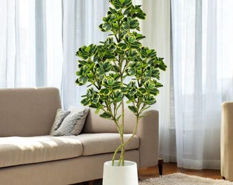 Künstlicher Ficus Baum: Kunstpflanze für Wohnkultur (76/115 cm)