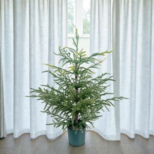 May include: A green artificial Christmas tree in a teal pot. The tree has many branches with green needles and yellow tips. The tree is in front of a white curtain and a window.