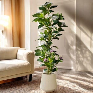 May include: A white ceramic planter with a tall, leafy plant with white and purple flowers. The plant is in a living room setting with a beige couch and a rug.