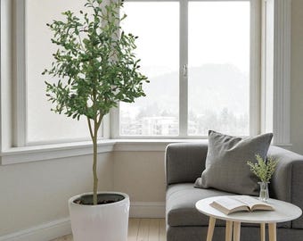 Könnte beinhalten: Ein künstlicher Olivenbaum in einem weißen Keramiktopf. Der Baum hat grüne Blätter und kleine, dunkle, olivenartige Früchte. Er steht vor einem großen Fenster, mit einem grauen Sofa und einem kleinen weißen Tisch im Hintergrund.
