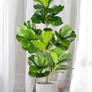 May include: A large artificial fiddle leaf fig plant in a gray pot. The plant has many large, green leaves and is displayed against a white backdrop.