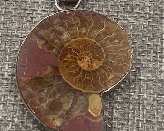 rare vintage made ammonite fossil and silver pendant large