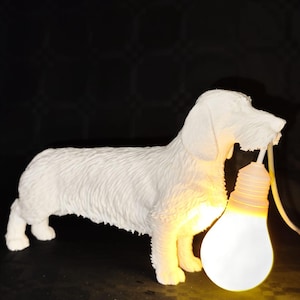 Può includere: Lampada a forma di cane bassotto in ceramica bianca con una lampadina accesa. Il cane tiene la lampadina in bocca.