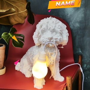 Op de afbeelding: Een witte, getextureerde lamp in de vorm van een hond, met een krulharige hond die een gloeiende, warmgekleurde lamp in zijn bek houdt aan een wit snoer. Een grafische overlay in de rechterbovenhoek toont de tekst CHOOSE YOUR NAME.