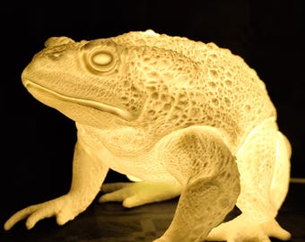 Realistic Frog Table Lamp / Home Decoration / 3D Lamp / Artistic Lighting / Nature / Unique Design / Original Gift