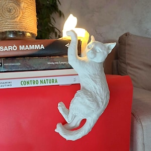 Può includere: Una lampada bianca a forma di gatto che si arrampica su una superficie rossa, con una pila di libri sullo sfondo. La lampada è accesa, emettendo un bagliore caldo. I libri hanno titoli come "SARO MAMMA" e "CONTRO NATURA".