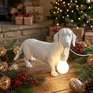 Personlig taxlampa med namn, hundformad lampa för barnkammaren, minnesgåva med wienerhund, sängdekoration med korvhund, present till Doxie