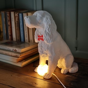 Warm Dog Night Light – Cocker Spaniel 3D Printed Lamp LED USB, Pet Memorial Gift, Eco-Friendly Decor