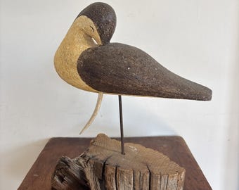 Richard Morgan Coastal Shore Bird On Driftwood Resting Beak Poking Thru Signed