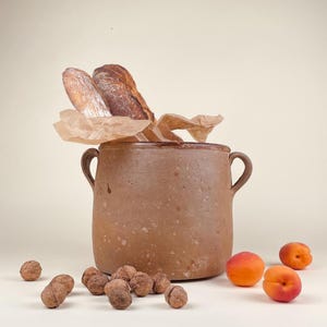 Può includere: Un vaso di ceramica marrone con due manici, pieno di pane avvolto in carta marrone. Noci e albicocche mature sono sparse intorno alla base del vaso, creando una composizione di natura morta. Il vaso ha una superficie strutturata.