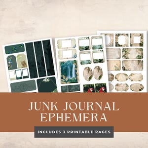 May include: Three printable pages of junk journal ephemera featuring a jungle theme. The pages include various shapes and sizes of tags, labels, and frames with images of a waterfall, parrots, and a cat.
