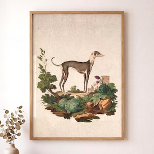 Greyhound Art Print - Vintage Dog Portrait Wall Art image 1